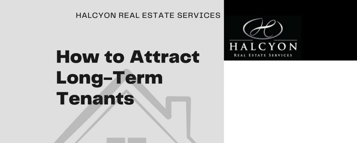 Halcyon Real Estate Services long-term tenants